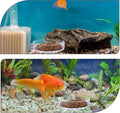 2 Pcs Shrimp Feeding Dish, Aquarium Feeding Dish, Fish Tank Feeder Dishes, Clear Aquarium Shrimp Feeders Bowl Freshwater