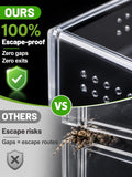 Escape-Proof One-Piece Jumping Spider Enclosure Accessories, Terrarium Kit