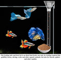 Aquarium Fish Shrimp Feeding Dish Set, Shrimp Feeding Dish Set, Transparent Shrimp Feeding Adjustable Tube with Feeding 