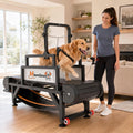 Dog Treadmill with Pin-Hinged Track & 3-Layer Shock Absorption