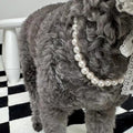 Cat Pearl Necklace, Small Dog Teddy Necklace Jewelry Chihuahua York Girl Pearl Jewelry, Puppy Accessories, Pet Necklace 