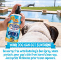 Bodhi Dog Sunscreen Moisturizing Pet Sun Spray - Safe for Dogs, Cats & Horses - Natural Protection for Skin, Coat, Nose, Ears - Hydrating & Non-Toxic - Made in USA (8 Fl Oz)