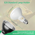 Pack of 2 Reptile Basking Light Bulbs - Incandescent 75W Simulated Sunlight UVA Heat Bulbs for Bearded Dragons, Geckos, 