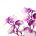 Silk Aquarium Plants for Betta Fish Tank, Purple-White, 8 Inch
