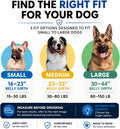 ShawnCo Dream Walk Pro No-Pull Dog Harness
