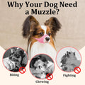 Mayerzon Fabric Dog Muzzle for Short Snout Small Dogs Chihuahuas Anti-Bite