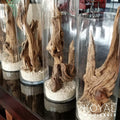 Koyal Wholesale 12” Driftwood Terrarium Decor, Clean California Manzanita Drift Wood Reptile Decor, Driftwood Decor for 