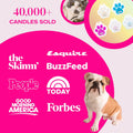 Companion Candles I Love You, I Love You! Pet-Friendly Wax Melt, 3 oz