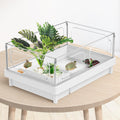 Moonorange Reptile Artificial Plants, Terrarium Plants Decorations Supplies, Aquarium Fish Tank Plant, Amphibian Habitat