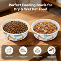 40Pack Disposable Dog Bowls, 16oz Paper Pet Bowls for Cats and Dogs