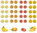 Pet Jelly Pods Variety Pack - Nutritious Jelly Fruit Nectar Treats for Geckos, Sugar Gliders, Birds, Small Pets - Real F