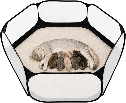 Cat Birthing Box - Whelping Box for Pregnant Cats & Dogs, Portable Foldable Whelping Pool for Pet with Storage Bag