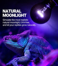 REPTI ZOO 2Pack Reptile Heat Lamp 100W Reptile Night Heat Bulb Night Heat Lamp Without UVA for Turtle Bearded Dragon Gec