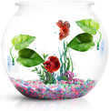 CousDUoBe 2 Pack Betta Fish Leaf Pad Improves Betta's Health by Simulating the Natural Habitat - Natural, Organic, Comfo