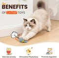 8Pcs Catnip Cat Mice Toys Interactive Mouse Cat Toy for Indoor,Adult & Kitten Cat Toys for Playing, Chewing & Teeth Clea