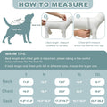 Recovery Suit for Dogs Cats, Dog Surgery Suit for Female Spay Male Neuter