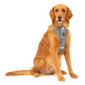 Kurgo Enhanced Strength Tru-Fit Dog Car Harness - Pet Travel Safety Harness - Crash Test Certified Fit - Five Point Adjustment - Secure Buckle - Padded Chest - Charcoal - Large