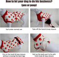 Recovery Suit for Dogs After Surgery, Dog Recovery Suit Female Male after Neutering, Dog Spay Surgical Recovery Suit Fem