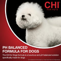 CHI for Dogs Oatmeal Dog Conditioner, pH Balanced Moisturizer for Dry Skin, Sulfate and Paraben Free, Ionic Technology Detangling for Smooth Coat, Dogs and Puppies 8 Weeks+, Made in the USA, 6 Fl Oz