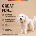 Earth Animal No Hide Stix - Rawhide Free Dog Chews Sticks 20 Count
