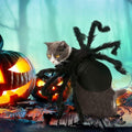 Halloween Spider Costume for Dog Cat, Halloween Pet Costume Halloween Decorations, Spider Decor Halloween Party Supply, 