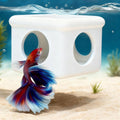 White Floating Betta Hideout with Round Side Holes – 3D Floating Breeding Box & Resting Cave with Window – Feeding Platf