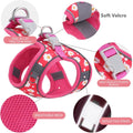 KocaPlye Step in Dog Harness No Pull Flower Adjustable Soft Mesh Padded Reflective Pet Vest Harness and Leash Set for Small Medium Dogs