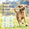 Pure Omega 3 Fish Oil for Dogs, Wild Caught from Iceland, Skin and Coat Supplement for Shedding, Dry Itchy Skin and Allergies, Rich in EPA + DHA with Omega 3, 6
