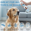 Pjordo Dog Detangler Spray, Natural Dog Leave in Conditioner Spray with Deshedding Brush and Metal Comb for Grooming and Mat Removal, Lavender Scent for Dogs