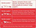 Beaphar | Gentle Leader | Head Collar for Small Dogs | Stops Pulling On The Lead | Training Aid with Immediate Effect | 