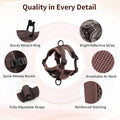 Large Cat Harness and Leash Set| Escape Proof Adjustable Mesh Vest with Reflective Strips, No-Choke Soft Breathable Harn