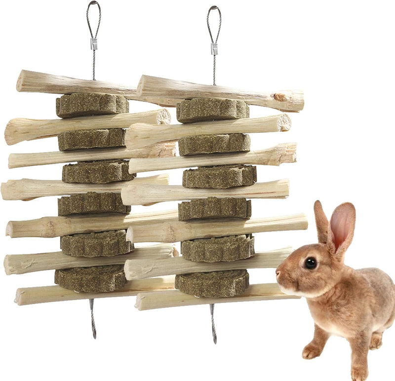 kathson Guinea Pig Treats Hanging Bunny Chew Toys for Teeth Grinding, Organic Bamboo Sticks Natural Rabbit Enrichment To