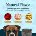 OcluVet Vision Chews Eye Supplements for Dogs & Cats, 60 Count