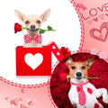 Chunful 100 Pcs Valentine's Dog Bow Ties St. Patrick's Day Dog Collars Bulk