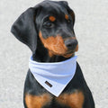 ARING PET Summer Dog Bandana-Cute Blue Dog Bandanas, Comfortable Pet Scarf Dogs Triangle Bibs for Small to Large Boy Gir