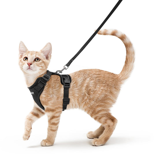 rabbitgoo Cat Harness and Leash Set, Escape Proof Kitten Harness for Safe Outdoor Walks, Soft Breathable Adjustable Vest with Reflective Strips for Kittens and Small Cats, Black, XS