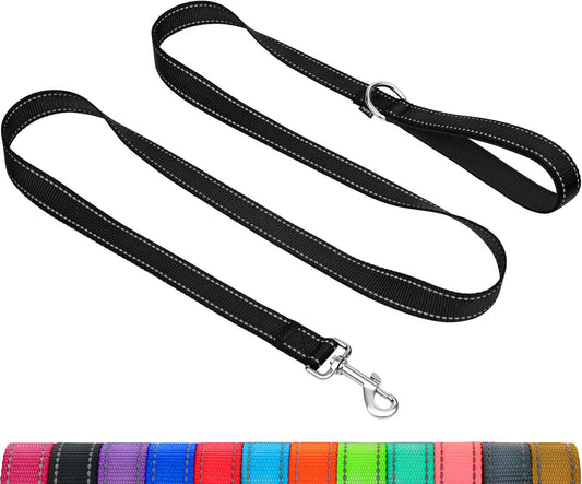 Taglory Dog Leash for Small Dogs, Double-Sided Reflective for Night Walking, Neoprene Padded Handle, 3/4 inch by 6 ft, Lightweight for Small Medium Breeds up to 30 lbs, Black