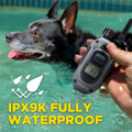 Dogtra 280X E-Collar with Remote [New Edition] 10 lbs+, 1/2 Mile Range, LED Light, 100 Levels of Precise Control for Stu