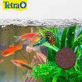 Tetra Vacation Food Slow-Release Feeder Block For Tropical Fish, 1.06 oz