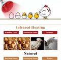 250W Red Heat Lamp Bulbs for Chicken,Infrared Flood Light Heat Lamp Bulb, Incandescent Light Heat Lamps for Chicks, Rept