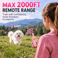 PATPET Dog Shock Collar for Medium Dogs- Dog Training Collar with Remote, Shock Collar for Small Dogs 10-100lbs, Recharg
