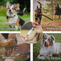 Dog Whistle,Adjustable Ultrasonic Silent Dog Whistle,Dog Whistle to Stop Barking Neighbors Dog,with Lanyard Professional