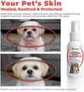 Veterra Dog and Cat Wound Care Spray for Dogs & Cats – Vet Recommended Skin Cleansing Spray, Helps Clean Minor Cuts & Scratches, Supports Skin Hygiene, Gentle No-Sting Formula - 3.38 Oz 100 Ml