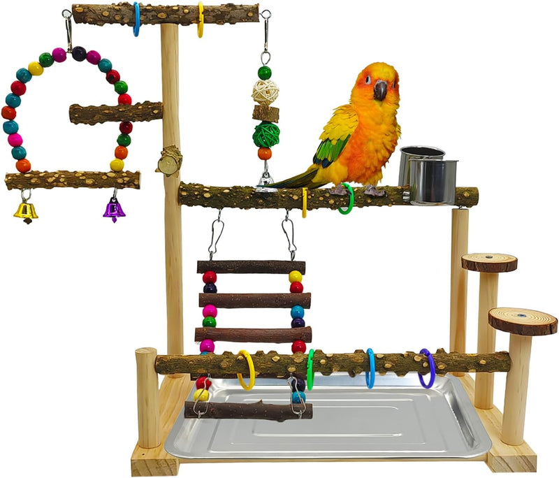 kathson Parrot Play Stand Parakeet Playground Bird Jungle Gym Wood Conure Playstand Hanging Chewing Toys with Swings and