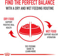 Royal Canin Size Health Nutrition Small Adult Dry Dog Food, 4 lb. Bag