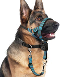 BARKLESS No Pull Dog Head Collar for Gentle Training Walking, Head Halter