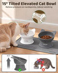 WinTour 2 Pack Elevated Cat Bowls with Food Mat, 15° Tilted Non-Slip Raised