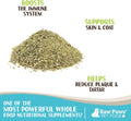 Raw Paws Organic Kelp Powder for Dogs & Cats, 8-oz - Seaweed Supplement