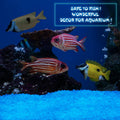 Wesiti Glow in the Dark Gravel, Fluorescent Glow in the Dark Rocks Decorations Fish Tank Rocks Decorative Aquarium Grave