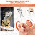 Bearded Dragon Nail Clipper with Nail File, Stainless Steel Nail Trimmer